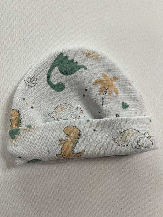 Gorro Dinosaurios